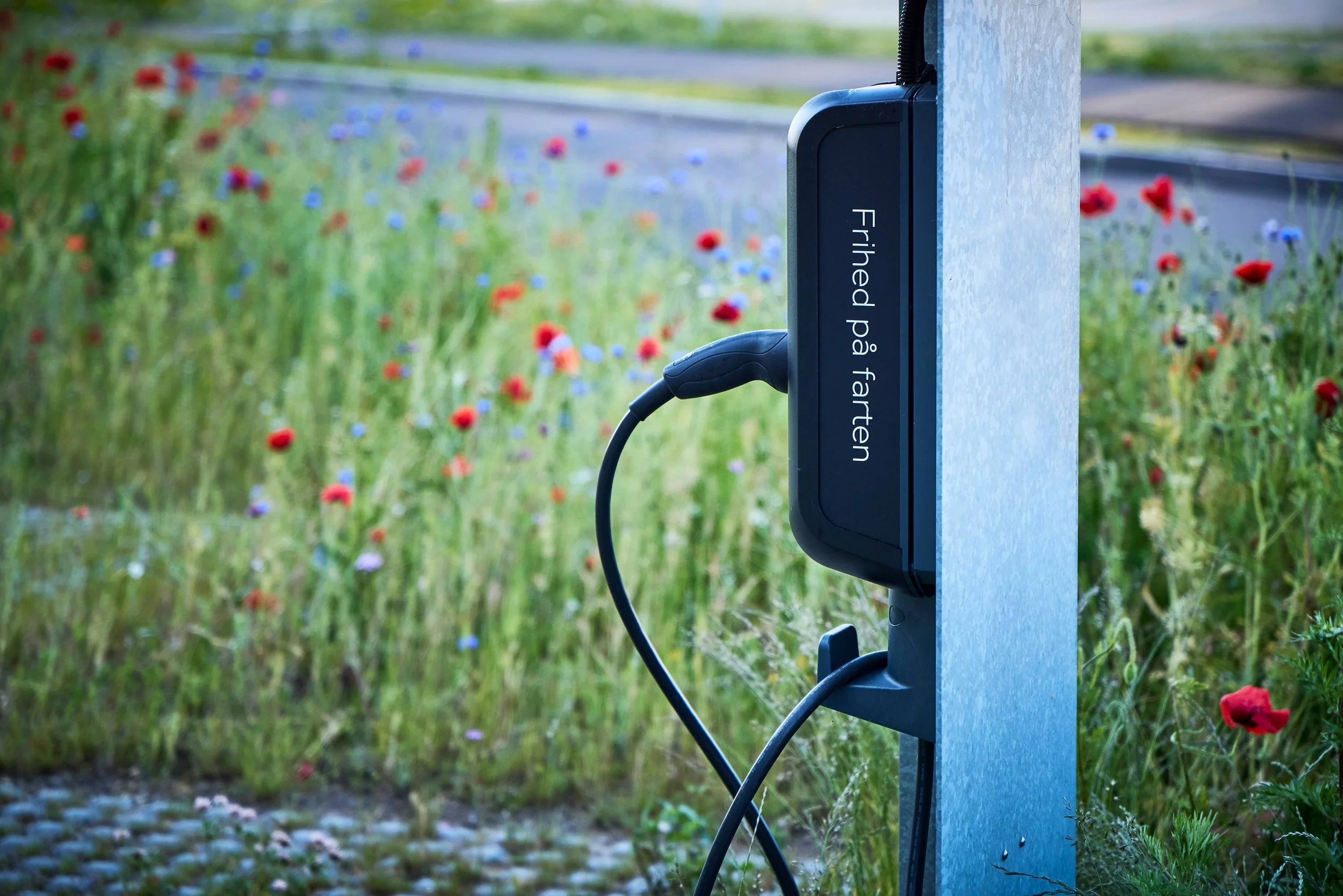  ESG RAPPORT / BUUS ANLÆGSGARTNER 