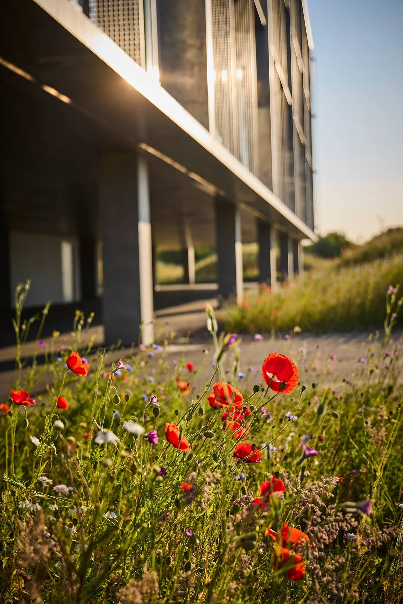  ESG RAPPORT / BUUS ANLÆGSGARTNER 