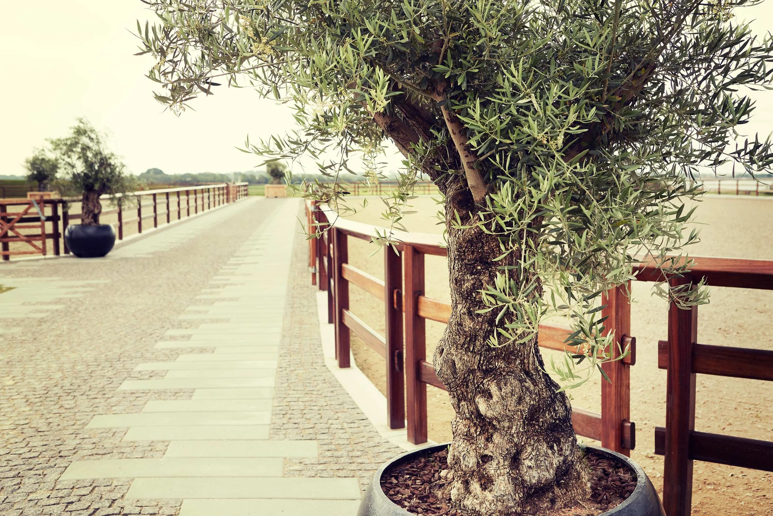  ANLÆGSGARTNER WINTHER TROLLE 