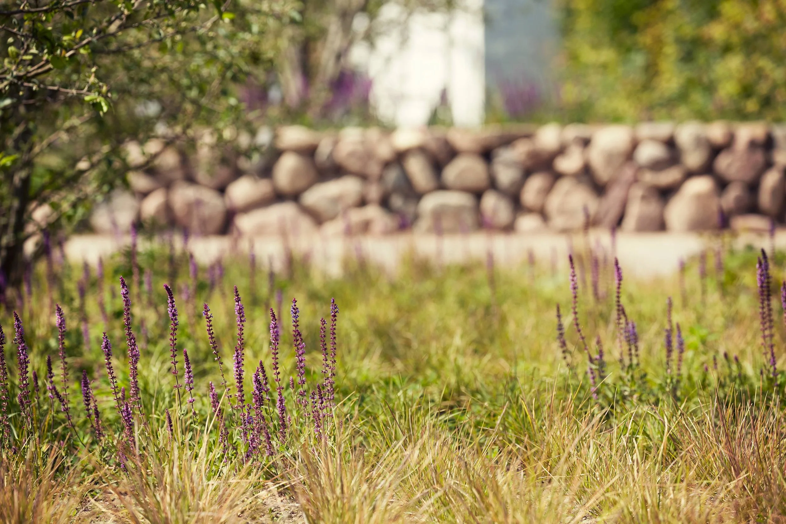 ANLÆGSGARTNER WINTHER TROLLE 