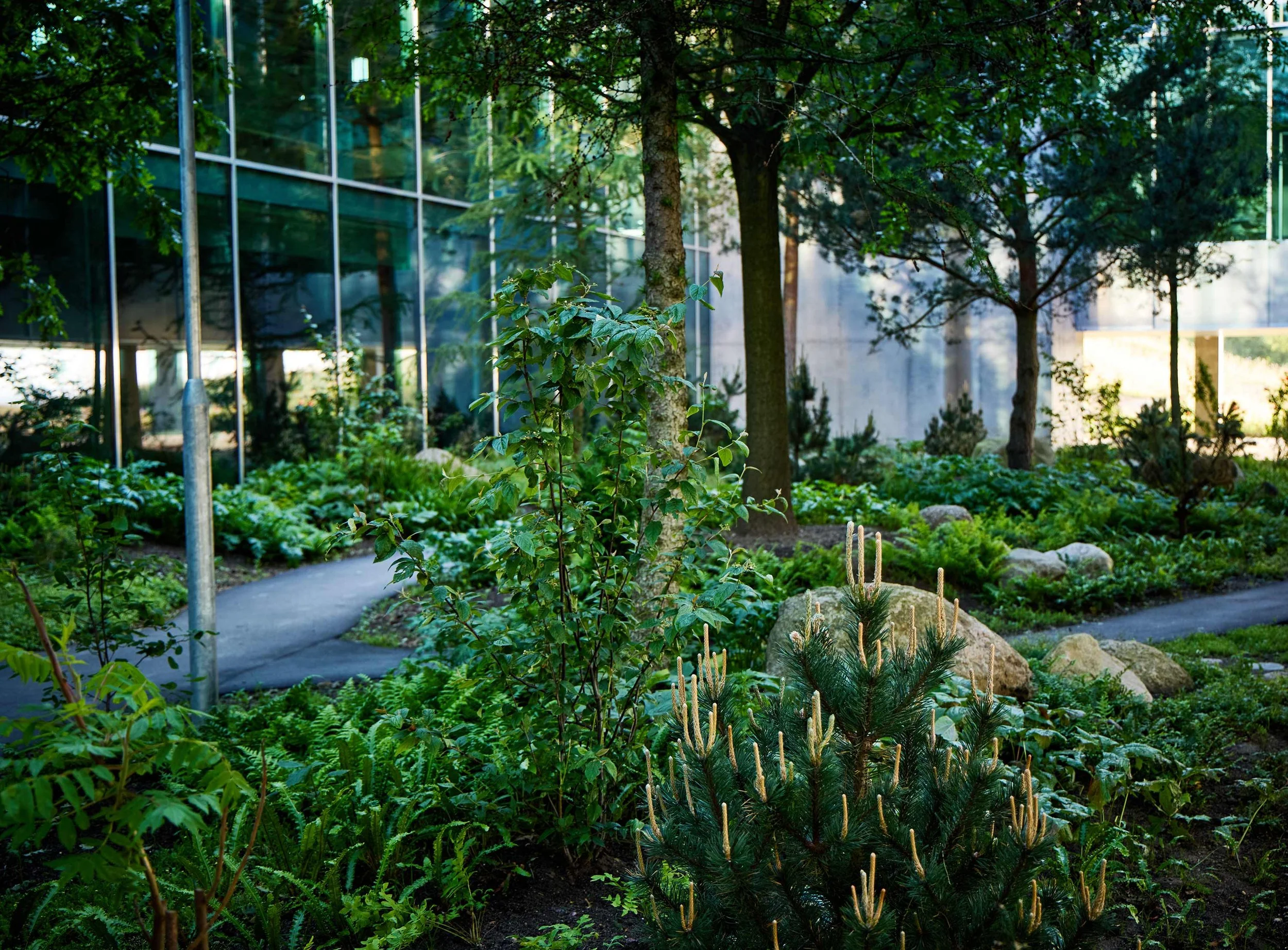  ESG RAPPORT / BUUS ANLÆGSGARTNER 