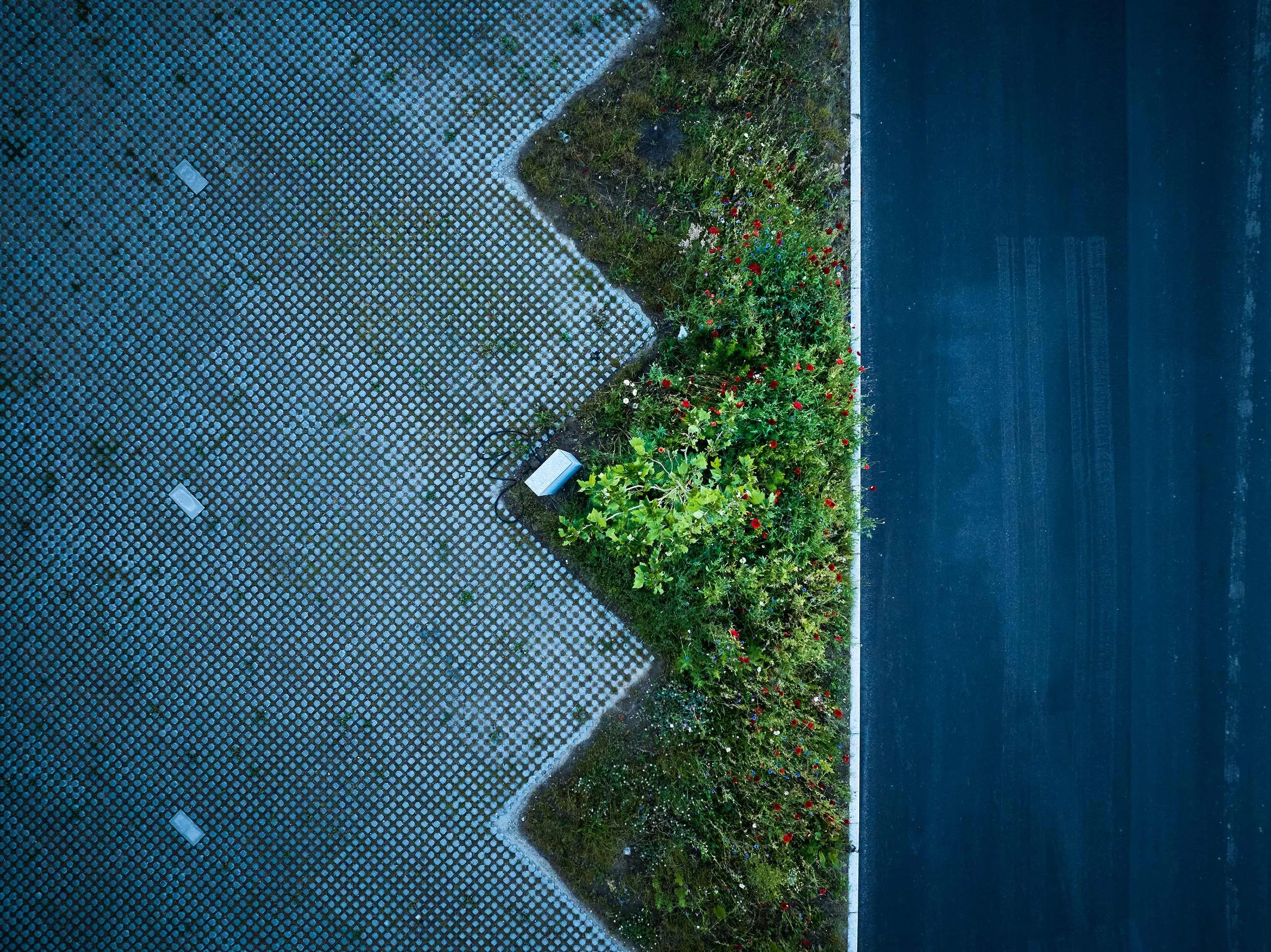  ESG RAPPORT / BUUS ANLÆGSGARTNER 