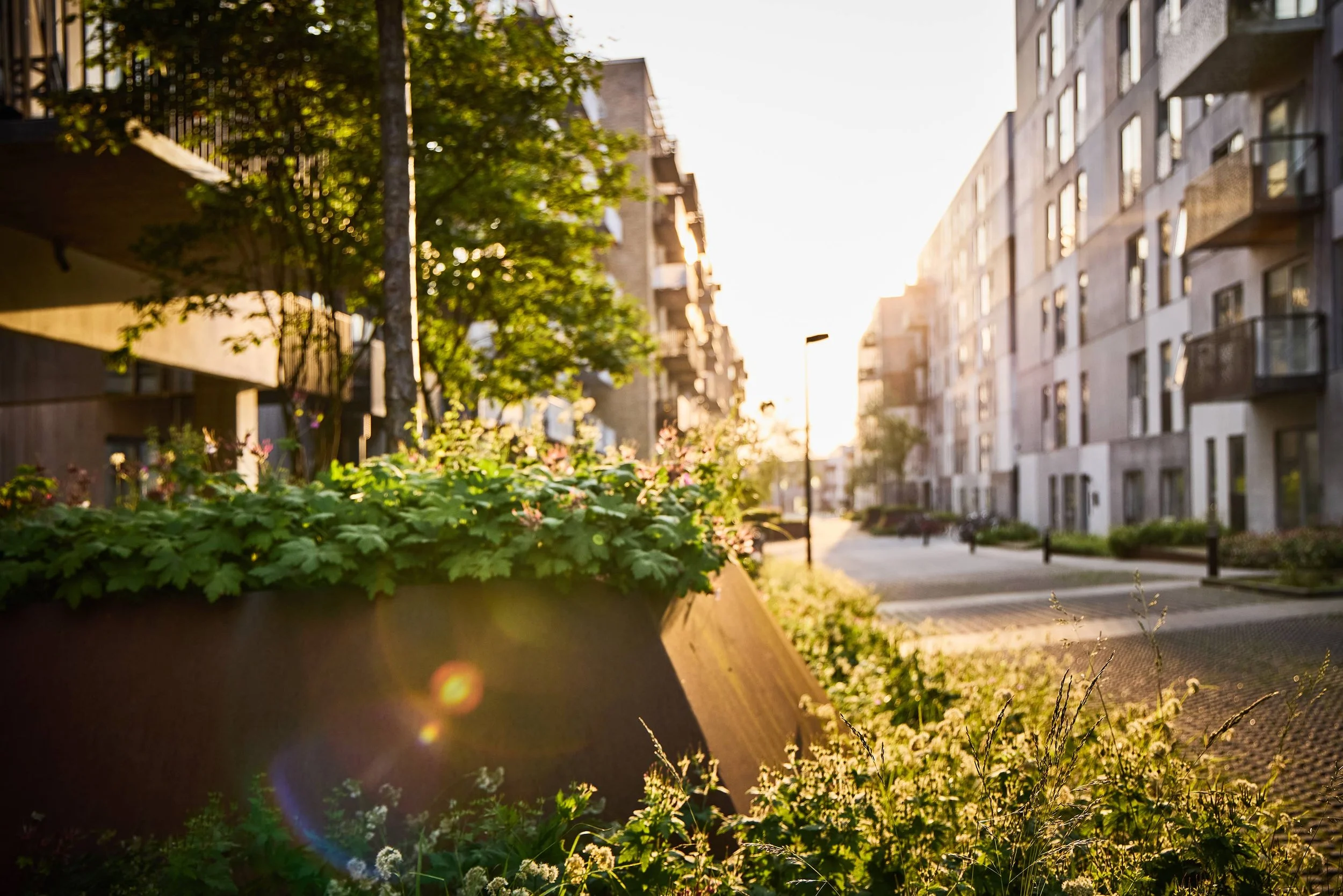  ESG RAPPORT / BUUS ANLÆGSGARTNER 