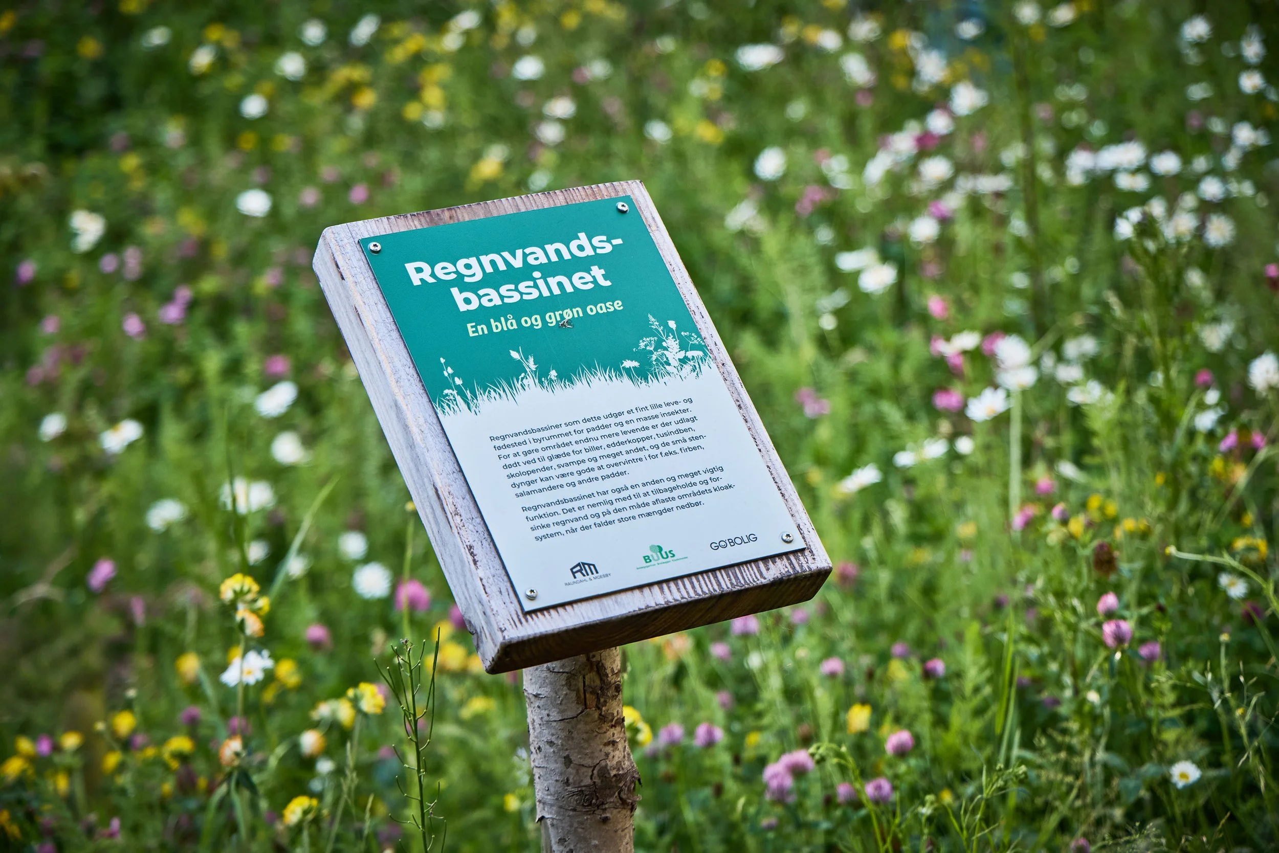  ESG RAPPORT / BUUS ANLÆGSGARTNER 