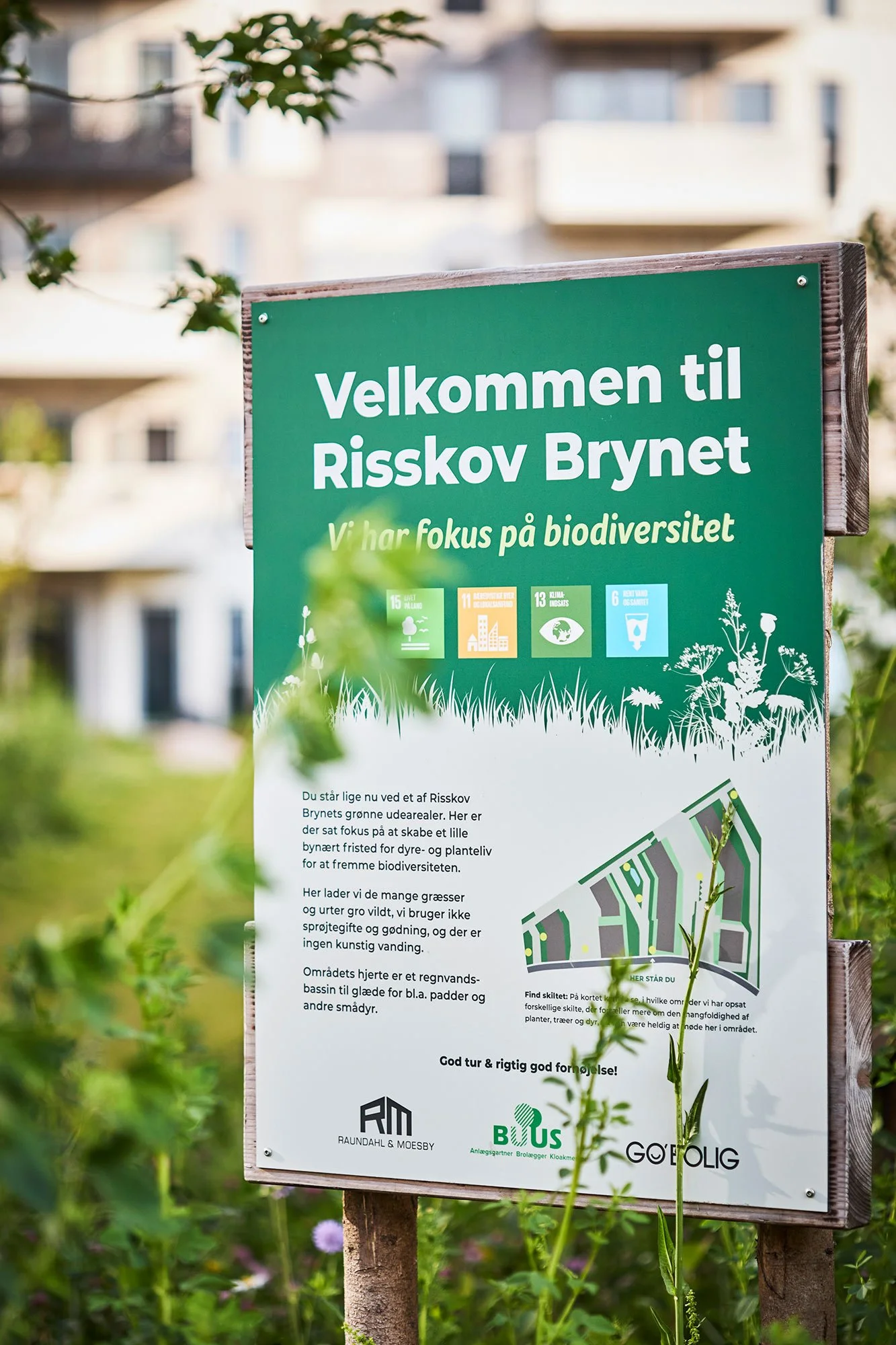  ESG RAPPORT / BUUS ANLÆGSGARTNER 