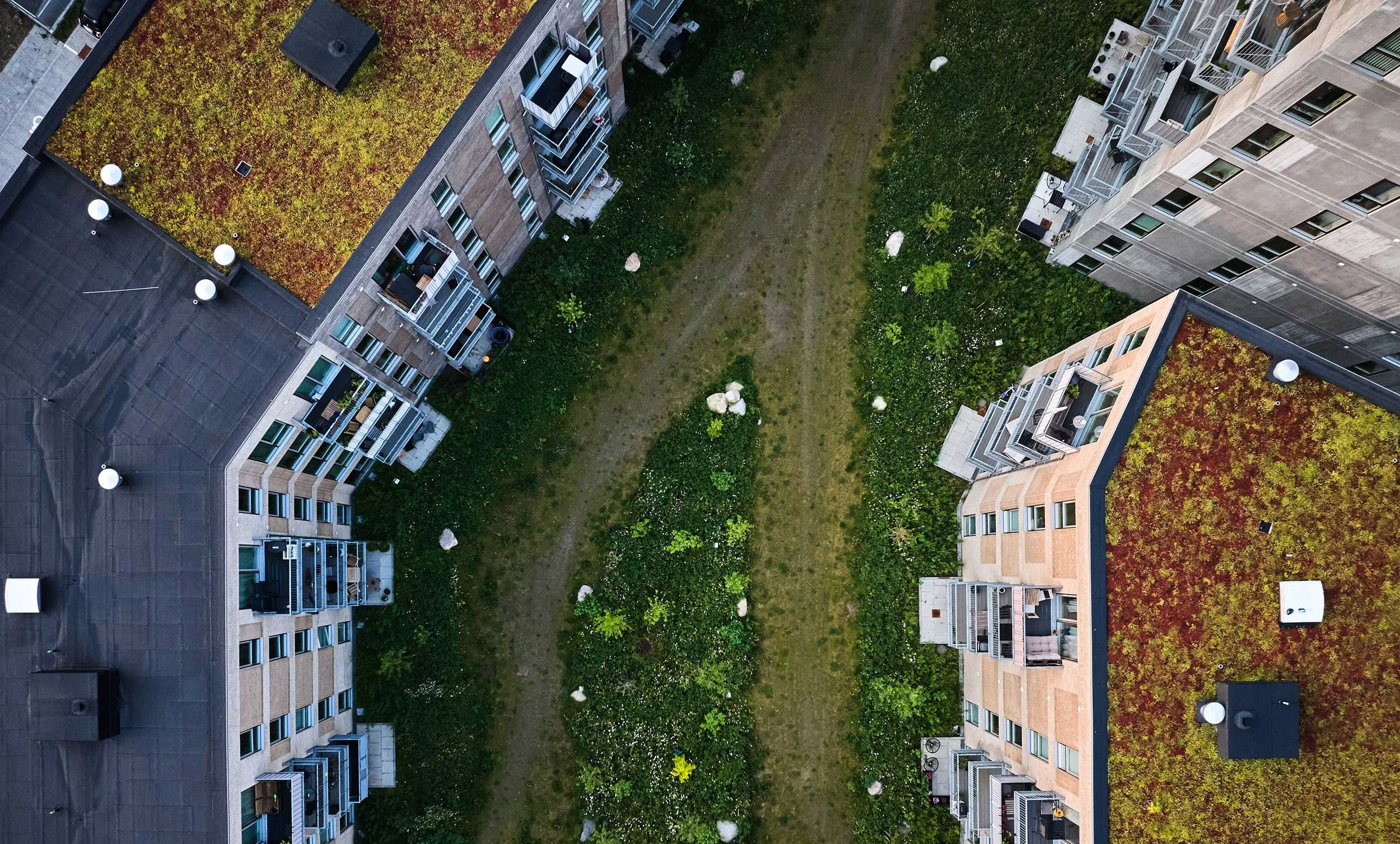  ESG RAPPORT / BUUS ANLÆGSGARTNER 