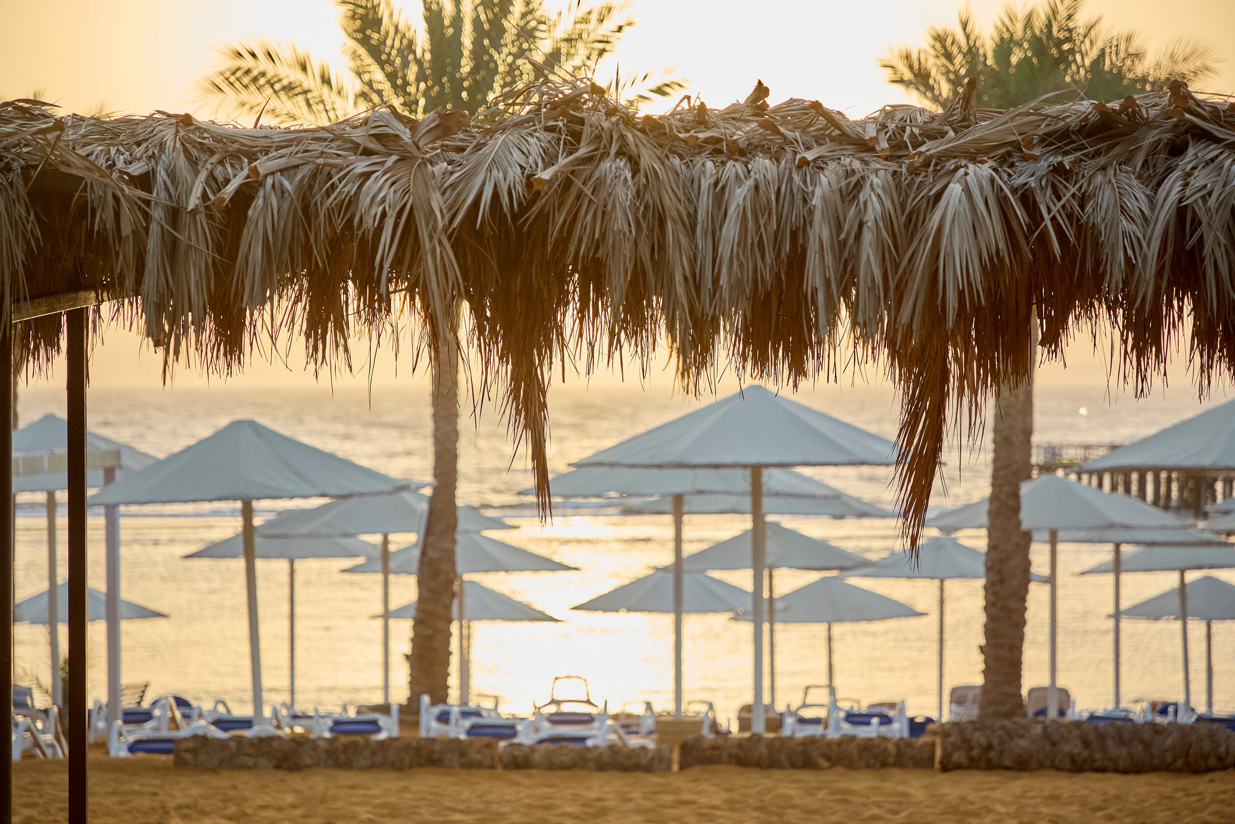  TAMRA BEACH RESORT / SHARM EL SHEIKH 