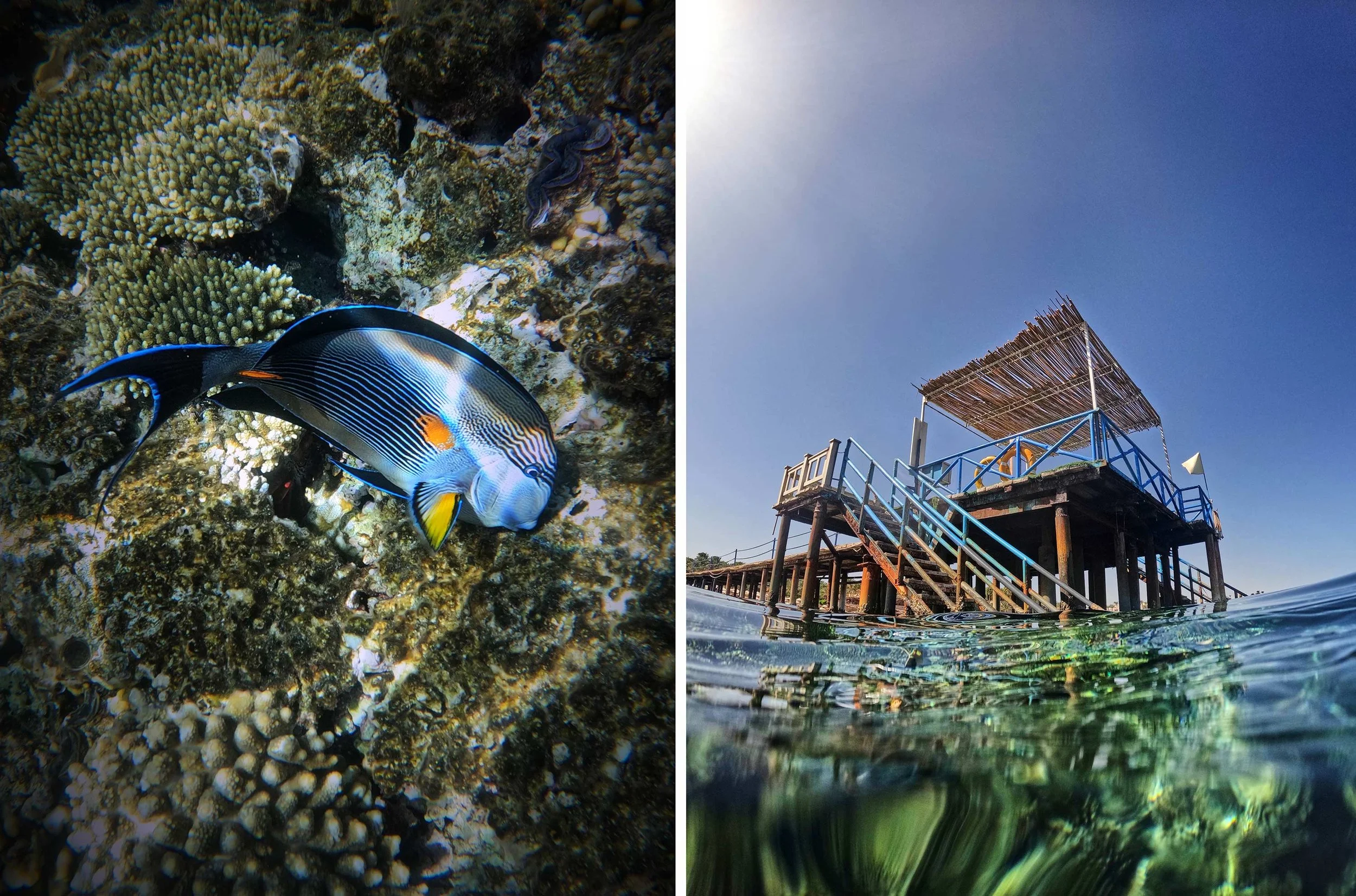  TAMRA BEACH RESORT / SHARM EL SHEIKH 