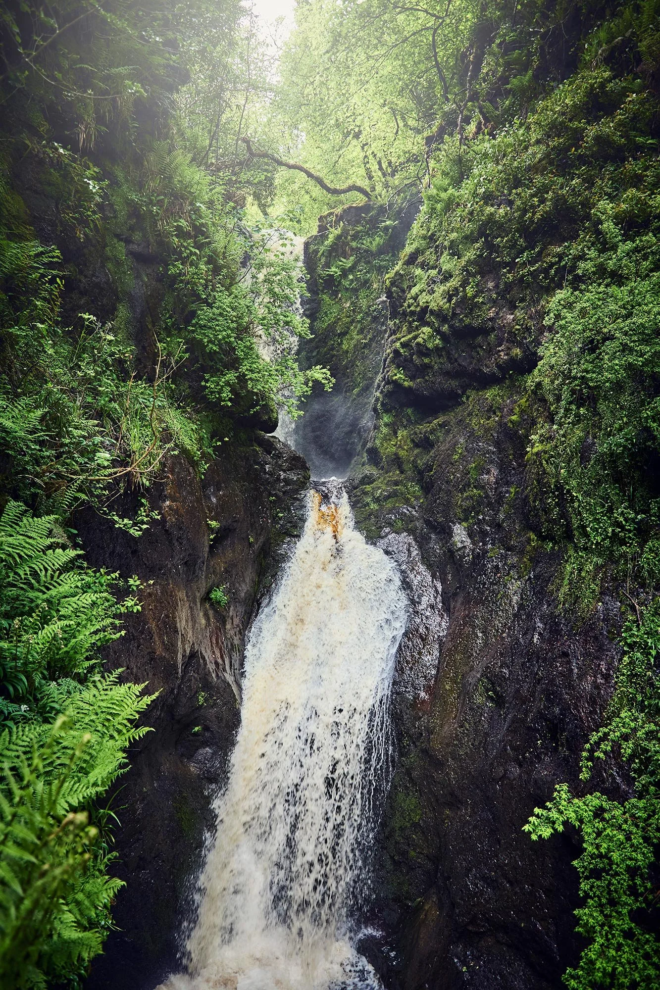  GLENARIFF FORREST PARK / NORTHERN IRELAND 