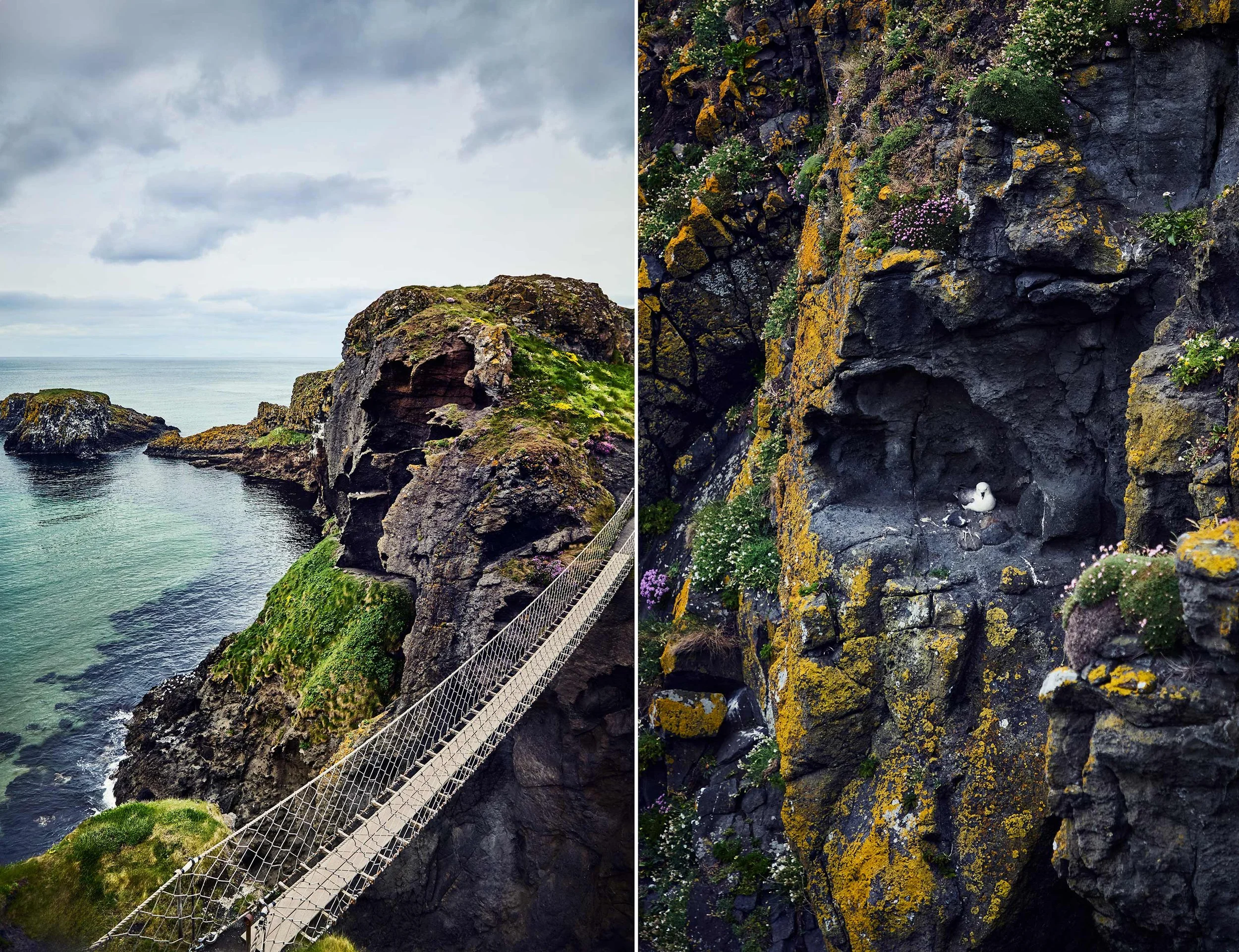  CARRICK-A-REDE ROPE BRIDGE / NORTHERN IRELAND 