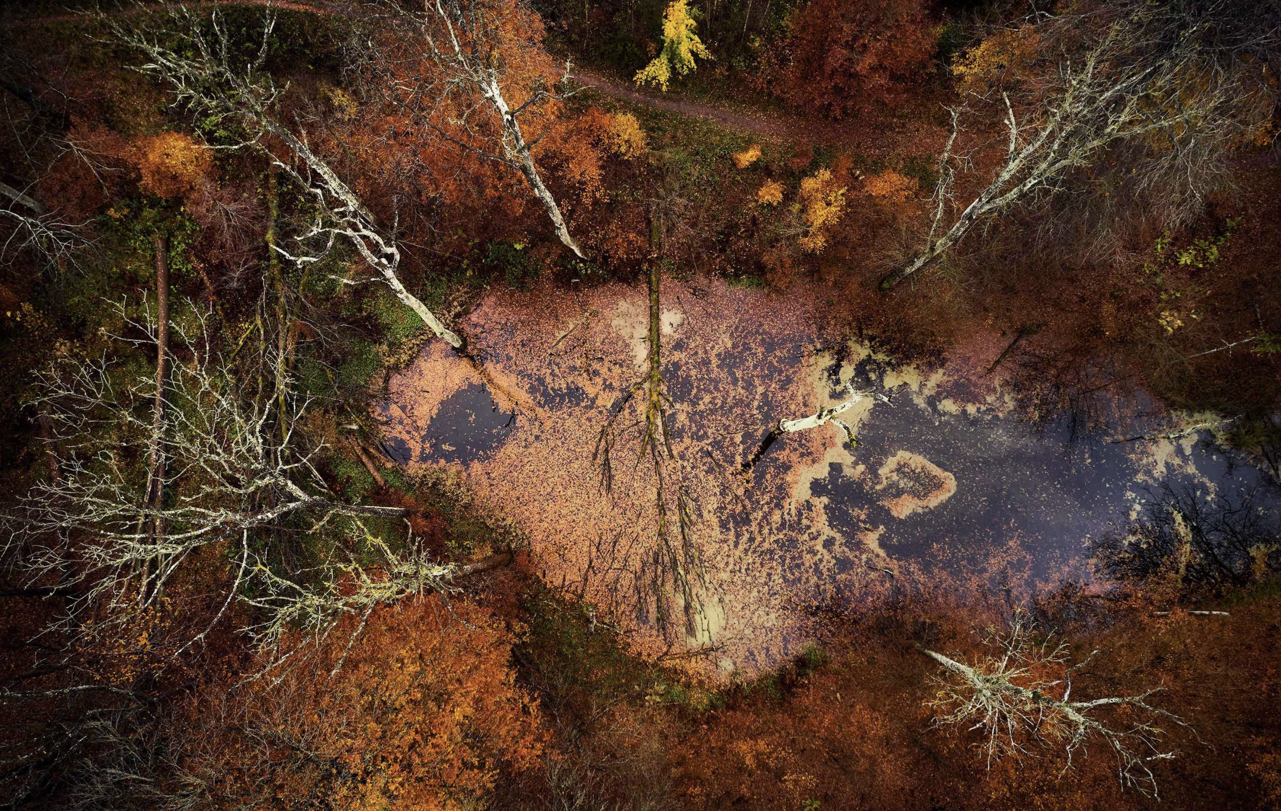 Screenshot 2024-09-24 at 16.16.42.png