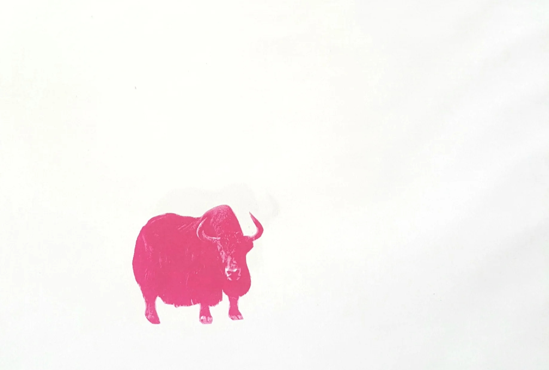 Graphic design last buffalo.jpg