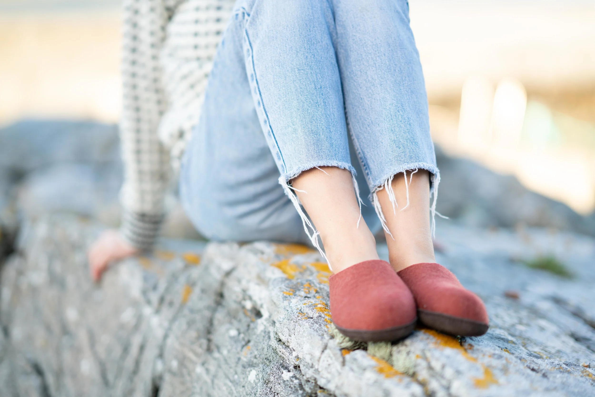 55_Rusty Red_Slipper_Ervika_2018_TOVA.jpg