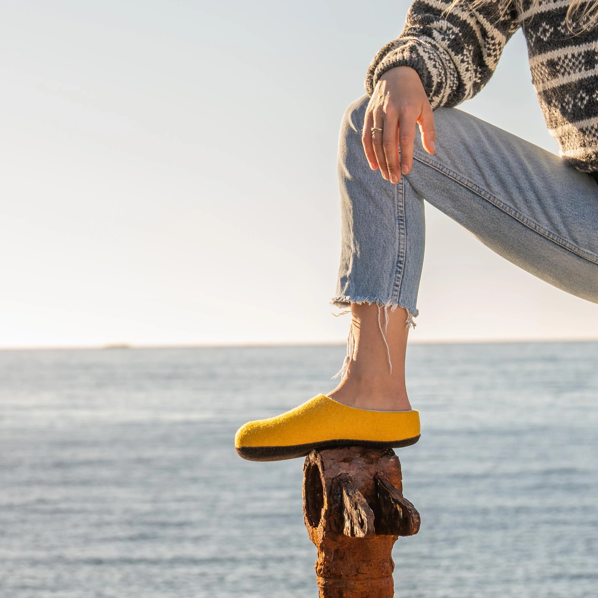 09_Yellow_Slipper_Ervika_2018_TOVA.jpg