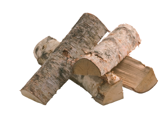 Birch.png
