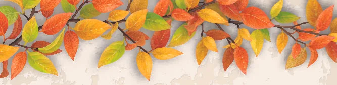 iStock-# 21045232940.jpg