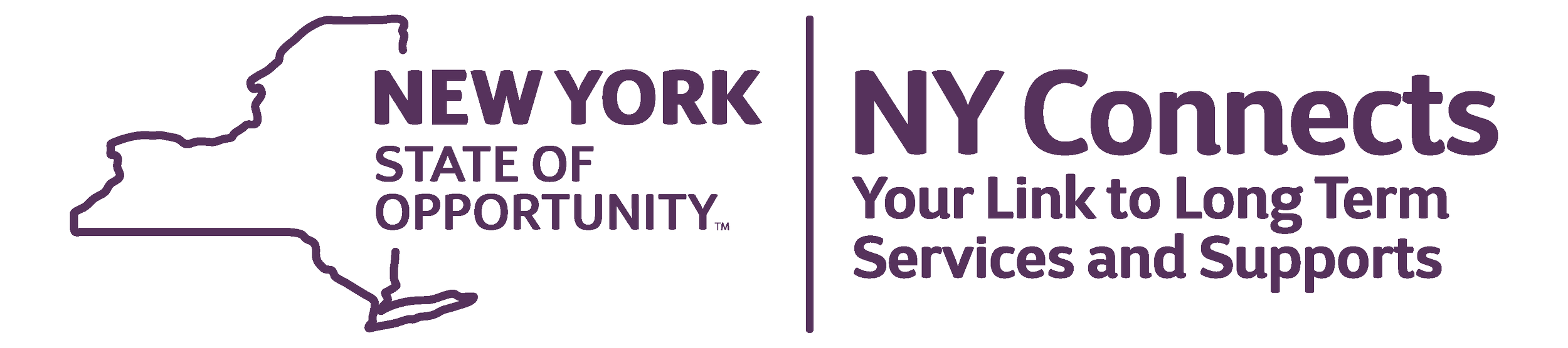 NY_Connects_Logo.png