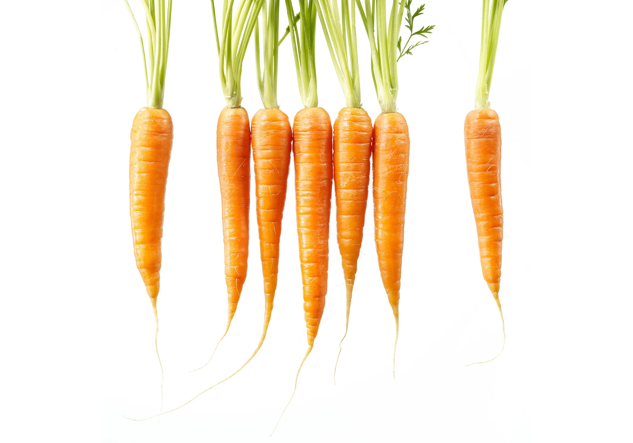 gkp_food_38.jpg