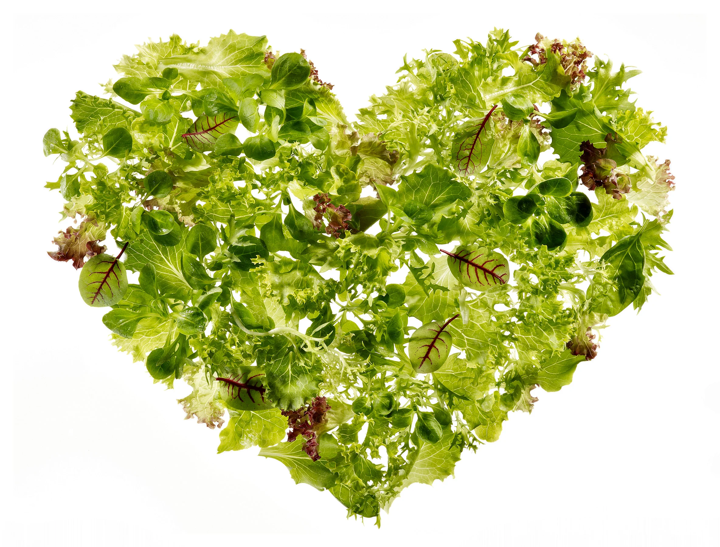 gkp_food_41b.jpg