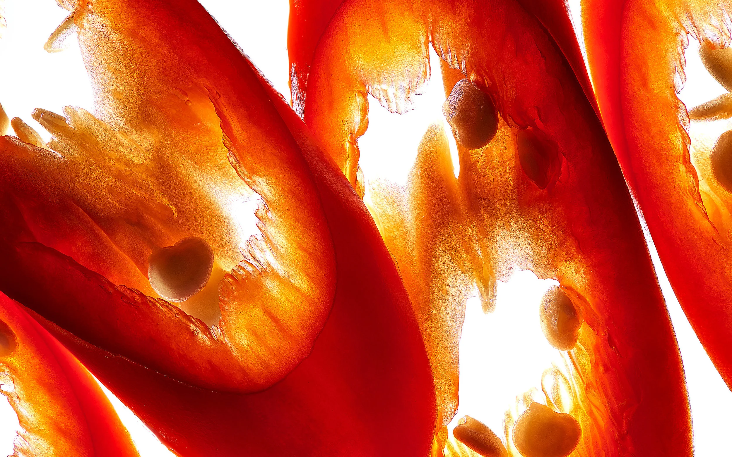red pepper, close-up, Nahaufnahme, Peperoni, Makrofotografie, macro