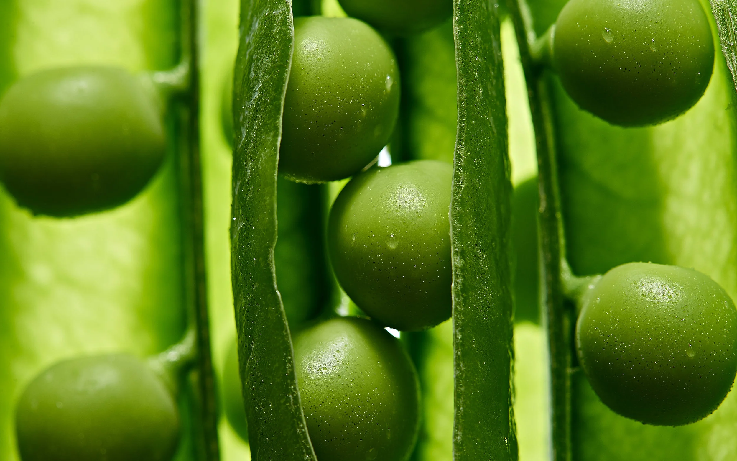 peas, close-up, Nahaufnahme, Erbsen, Erbsenschote, Makrofotografie, macro