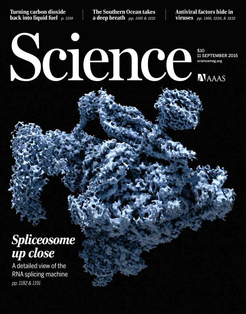 0911_cover.jpg