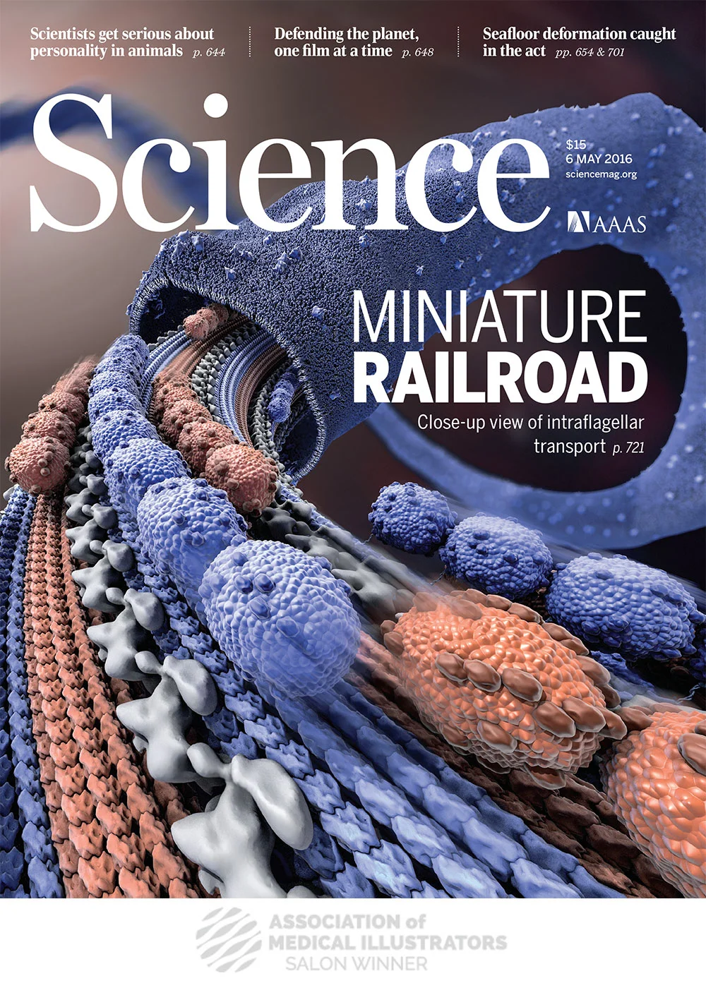 0506_cover-(2).jpg