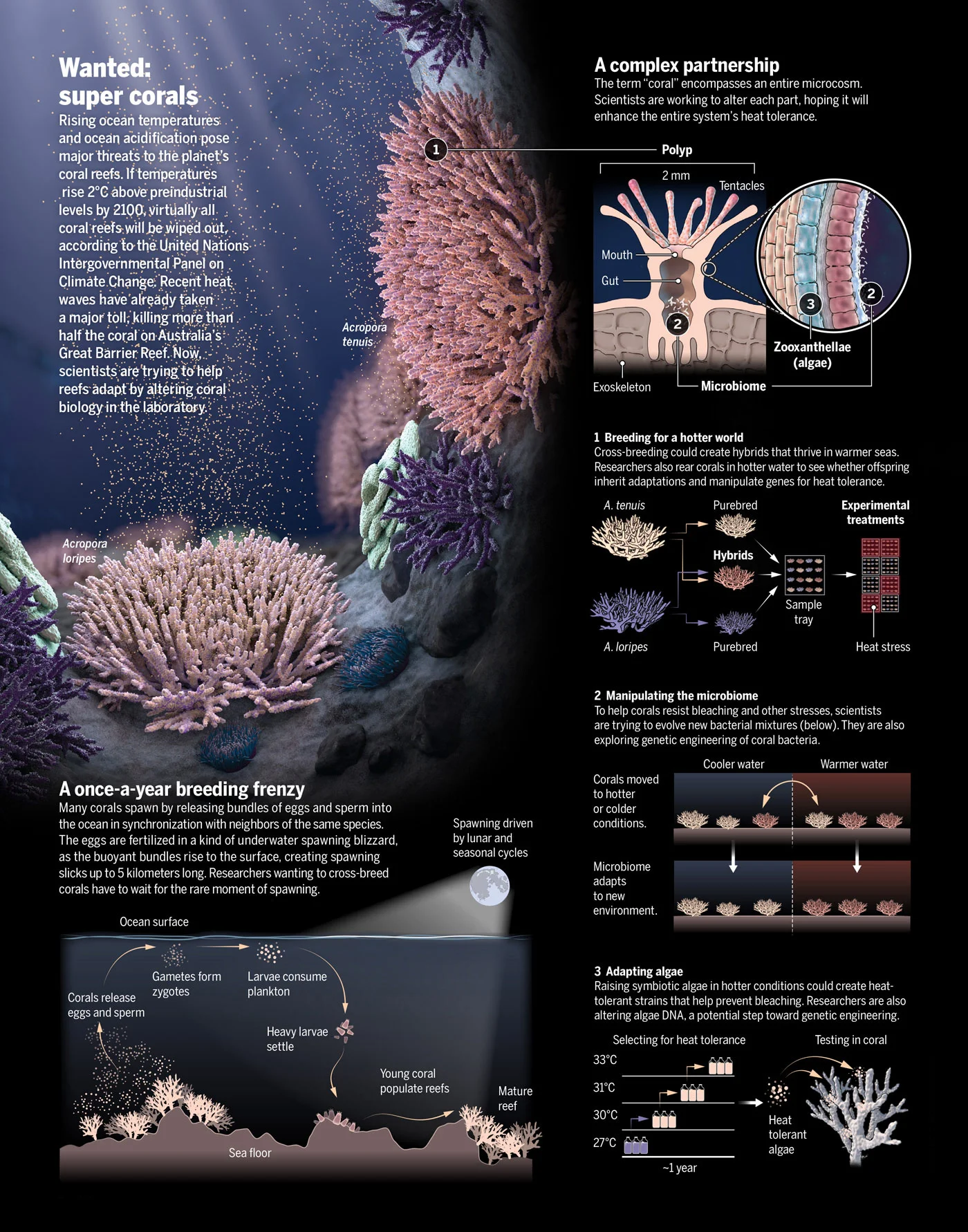 sci0322p1266e_ST.jpg
