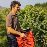 Marc Plouzeau
