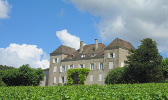 Chateau de La Greffière