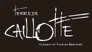 Coteaux de Giennois Terre de Caillottes
