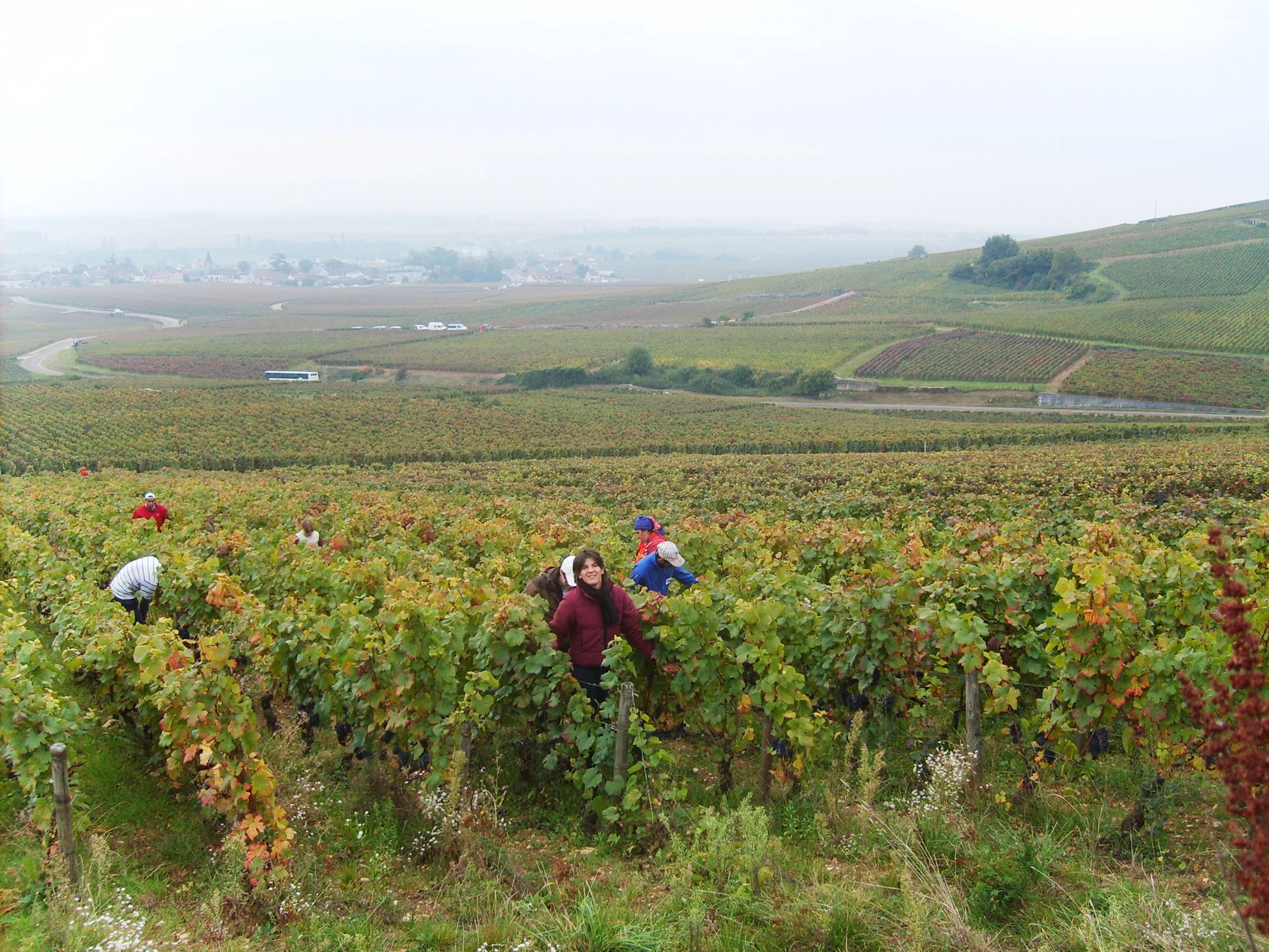 Domaine Cecile Tremblay