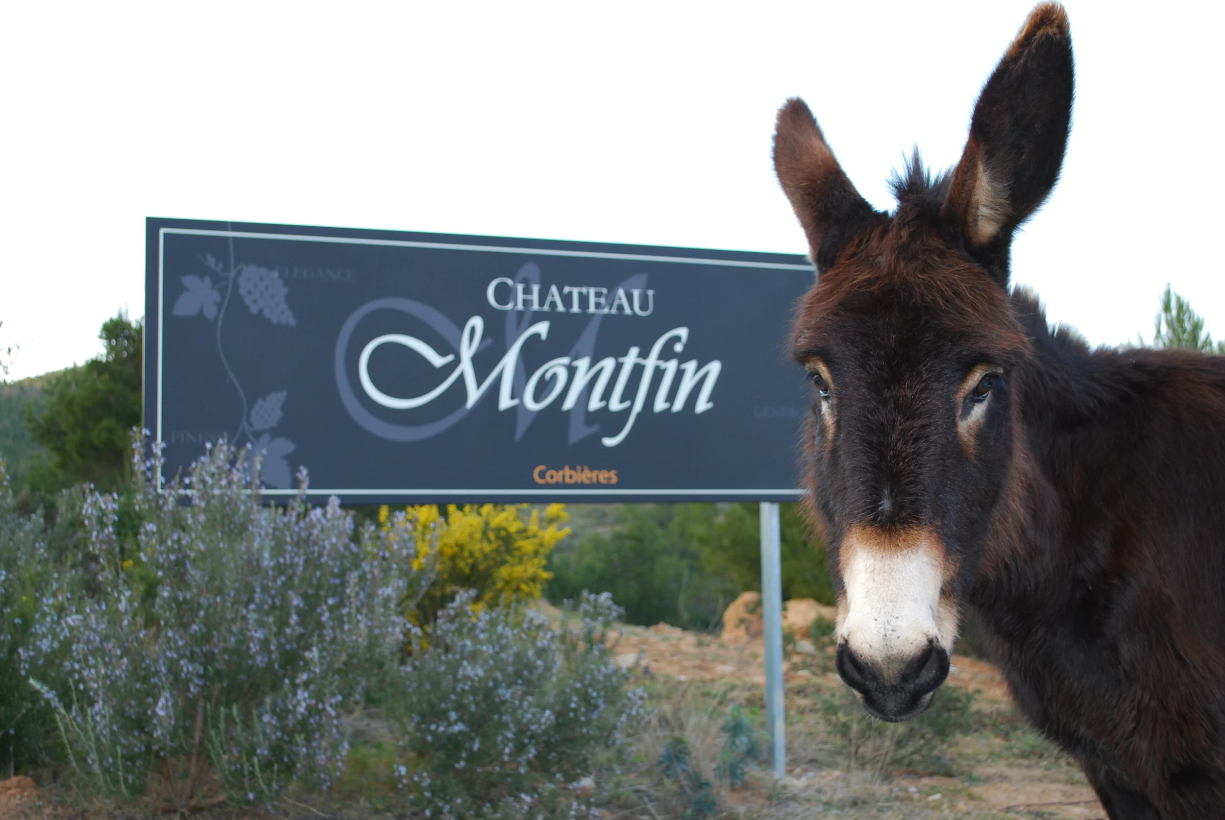 Chateau Montfin