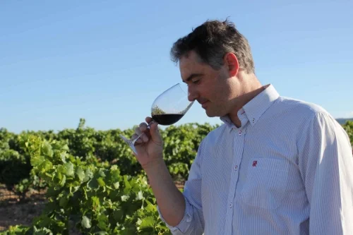 Bodegas D Mateos