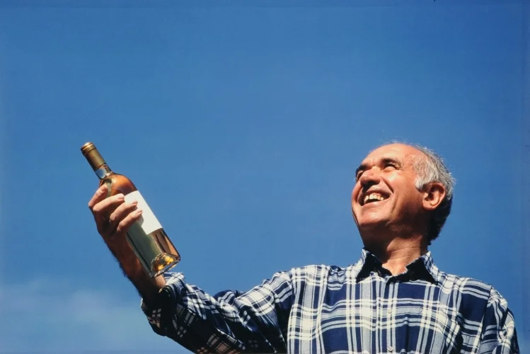 Domaine Vial-Magnères