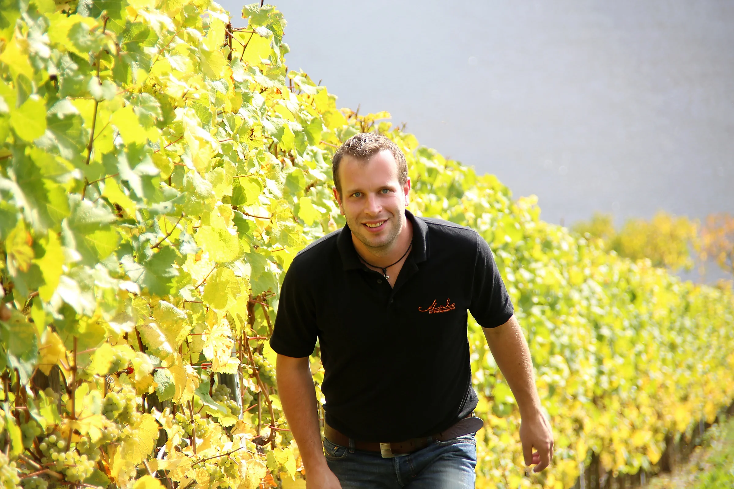 Weingut Hüls