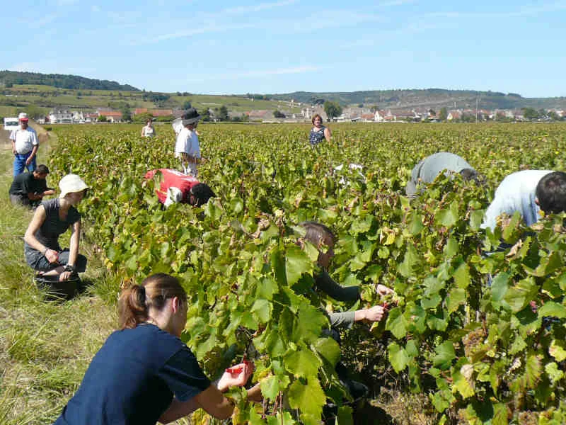 Domaine Bernard Millot