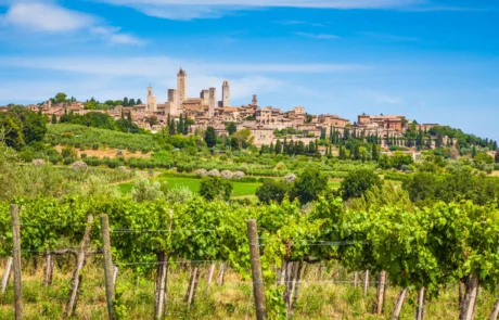 Vino Sorelli
