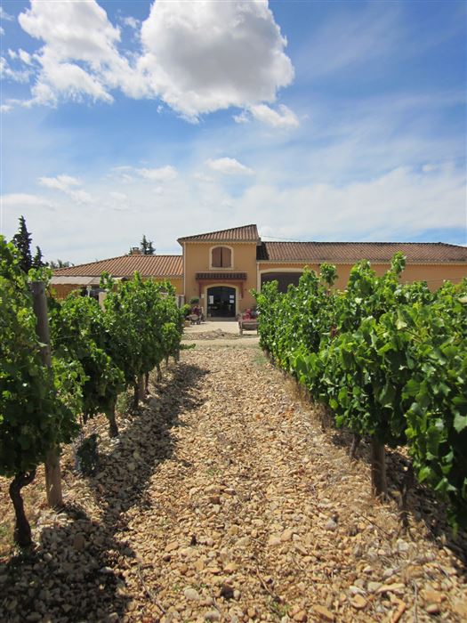 Domaine-les-Ondines.jpeg