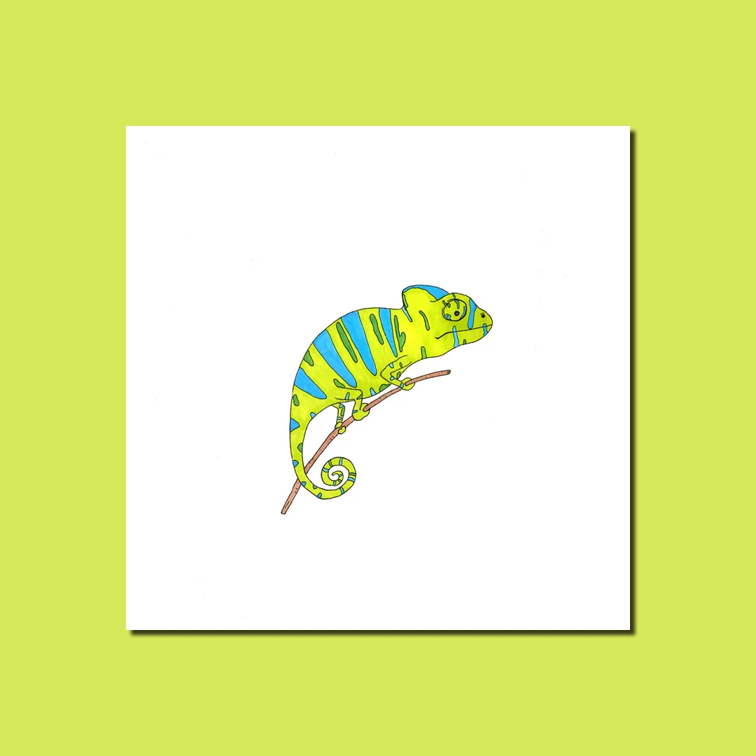 Animls_for website4.jpg