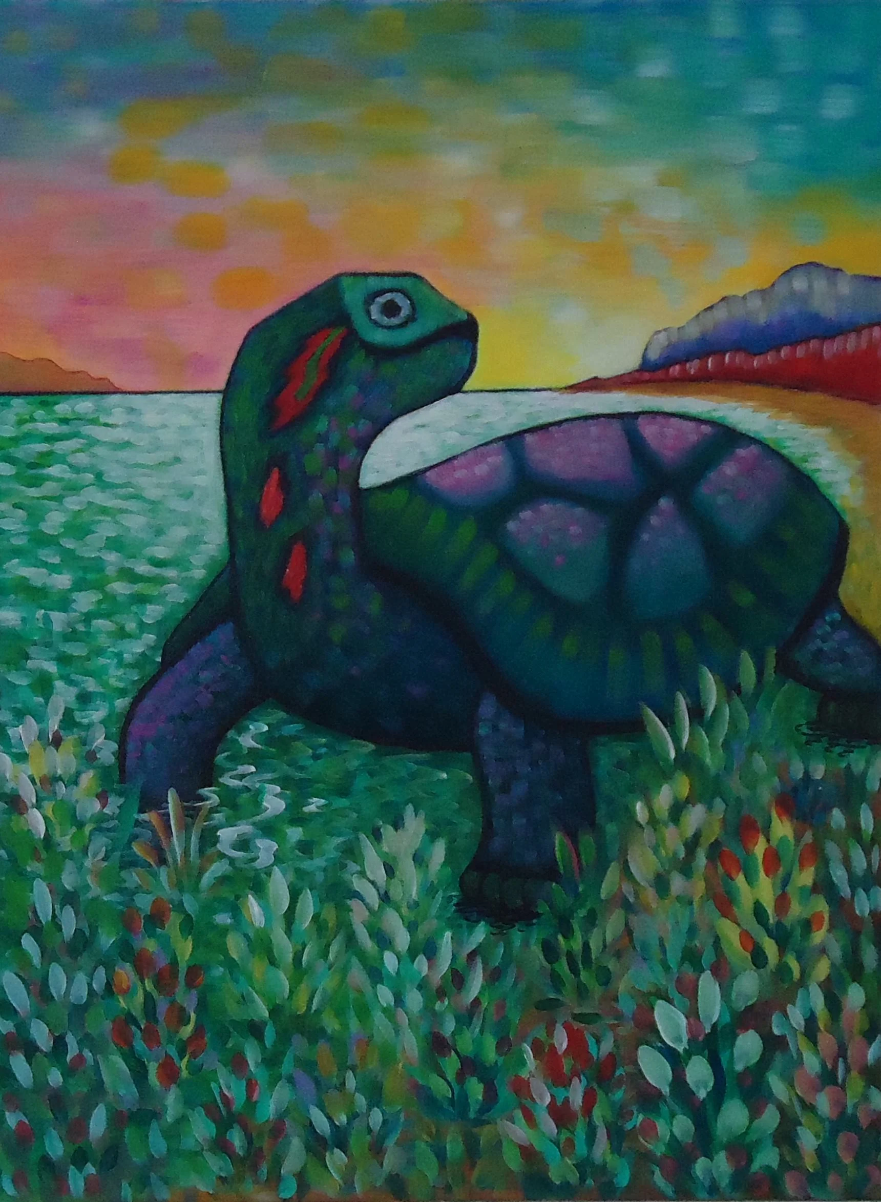 51 turtle 12-10-11.JPG