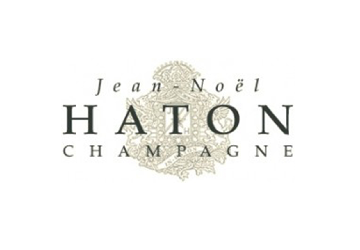 Jean-Noël Haton