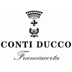Conti Ducco