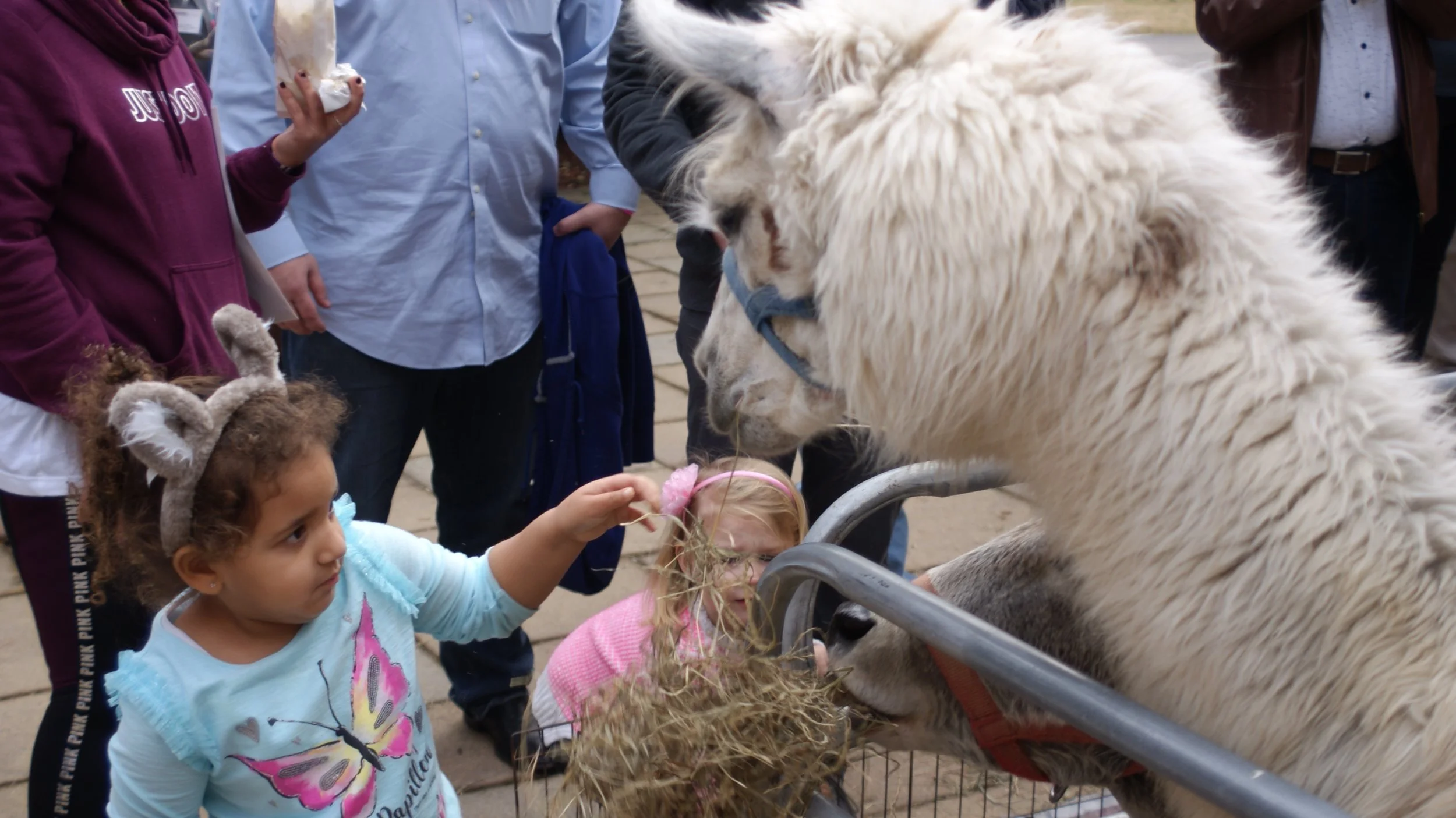 Kids with Teeny Tiny Animals.jpg