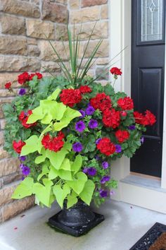 970d6bdcdd2c0bedcef41291a91c69ec.jpg