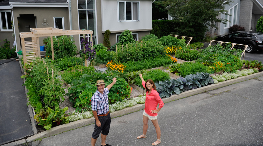 © Potager Urbain - Michel Beauchamp et Josée Landry devant leur potager de façade à Drummonville