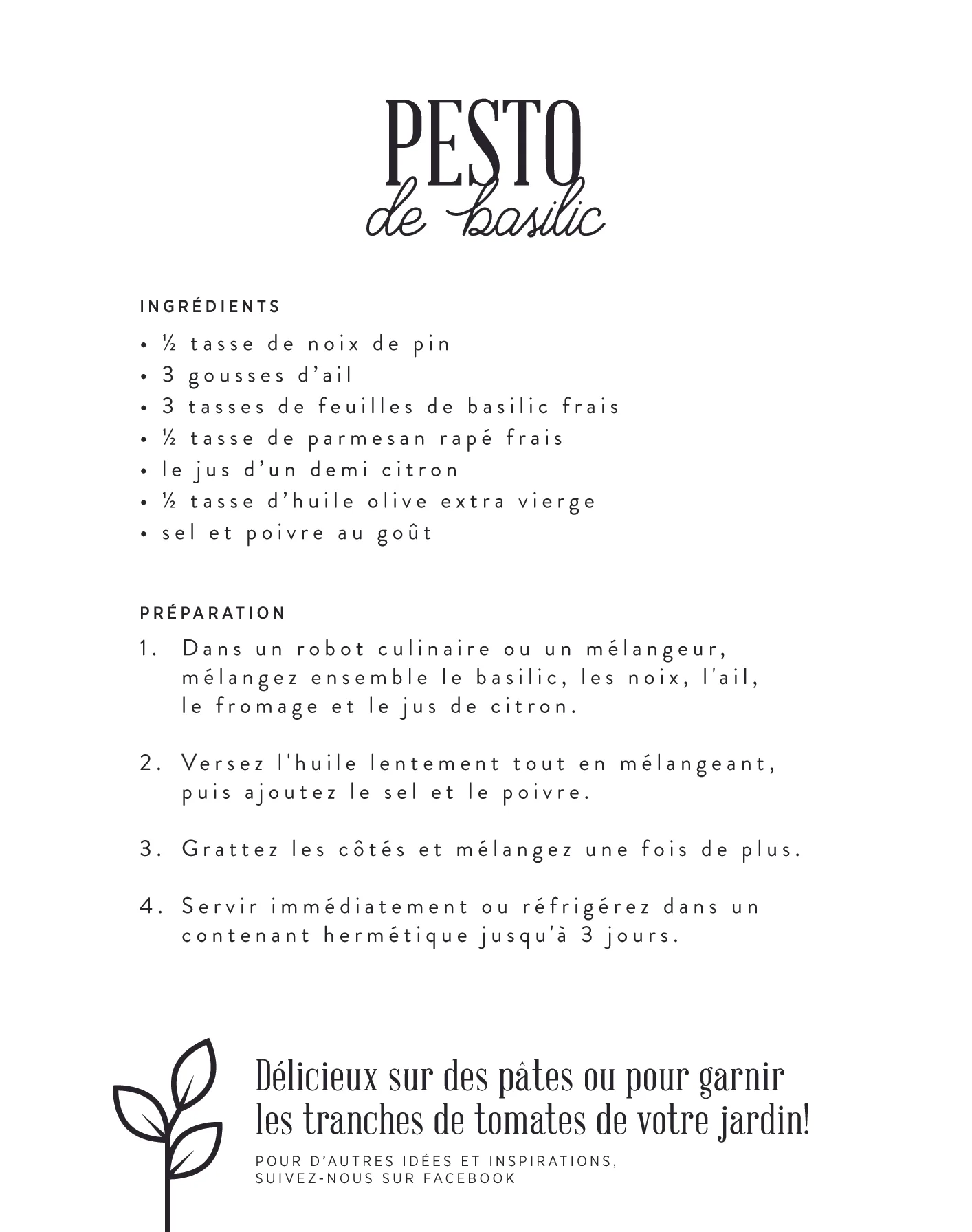 visuel-PESTO-verso-02.jpg