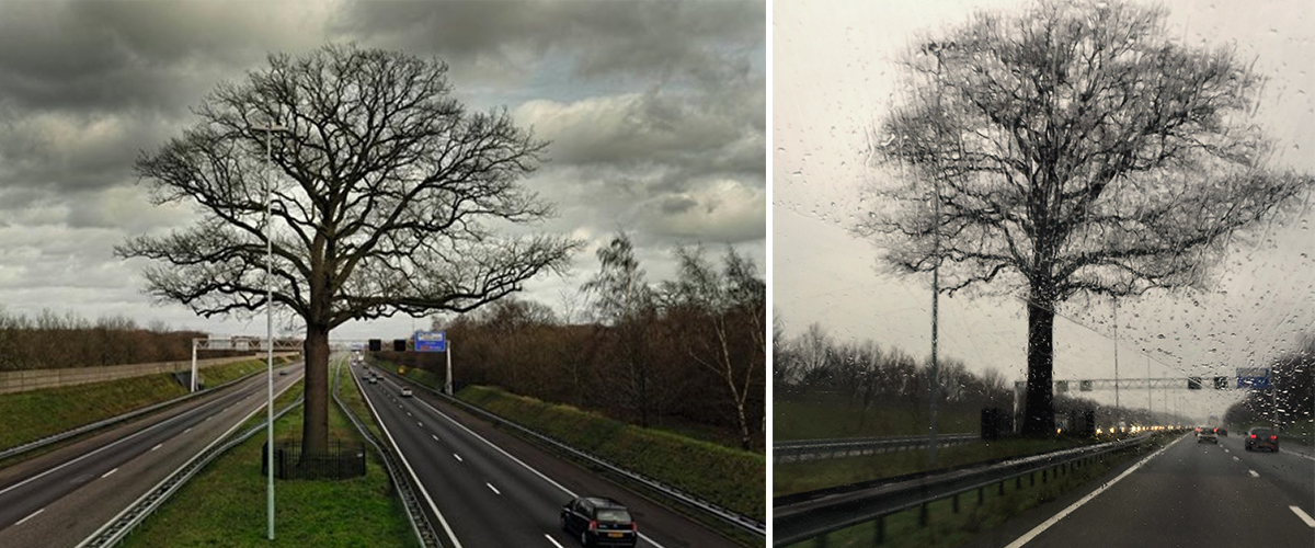 Foto links: © Michiel Hendrickx Foto rechts: © Saskia Scheltjens