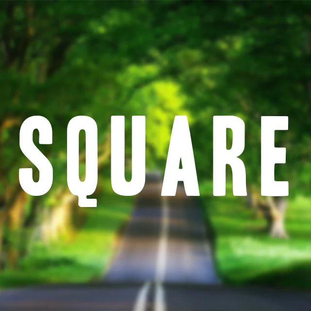 FB Video Blog Square.jpg
