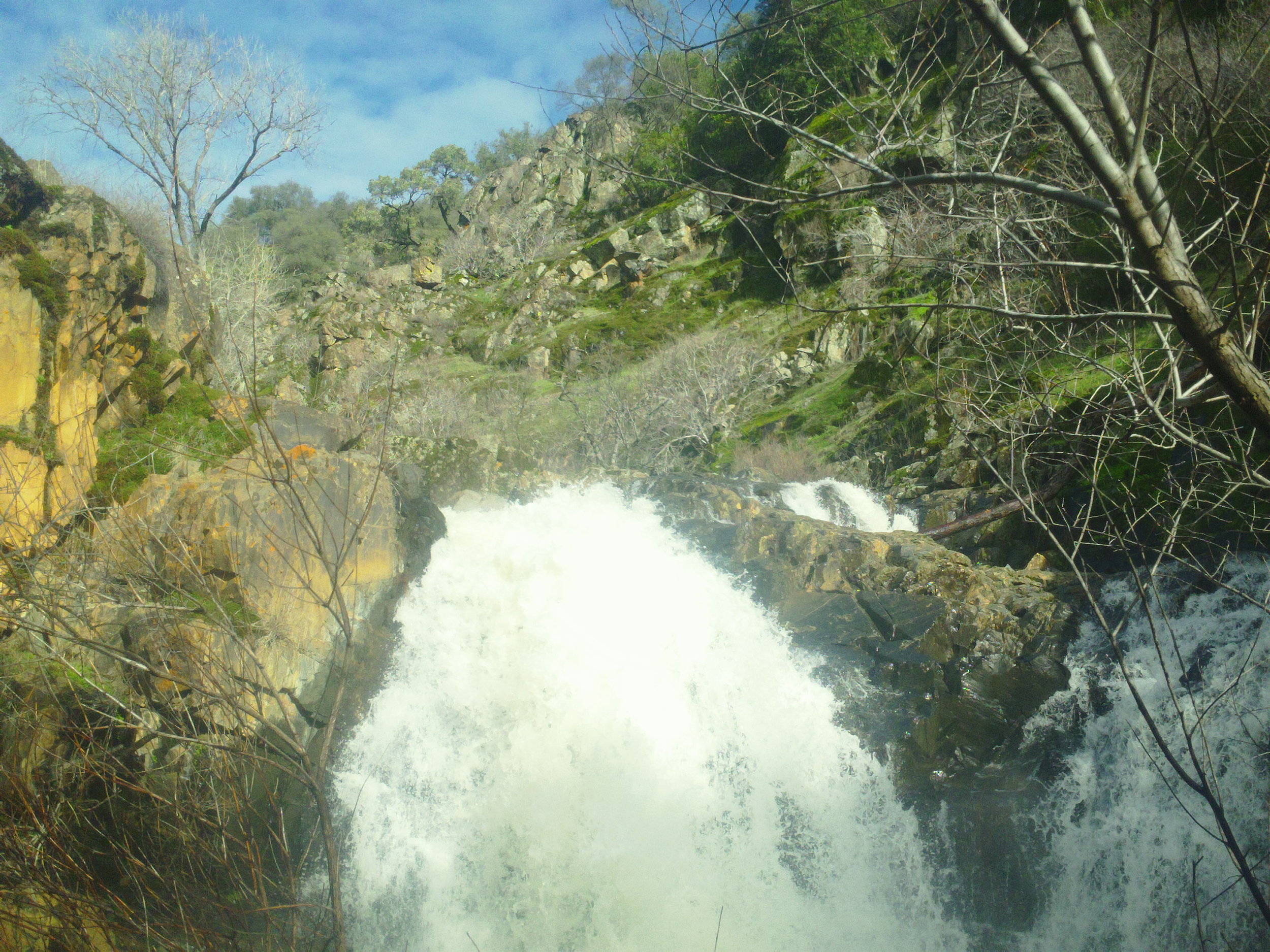 Dutch Creek Coloma